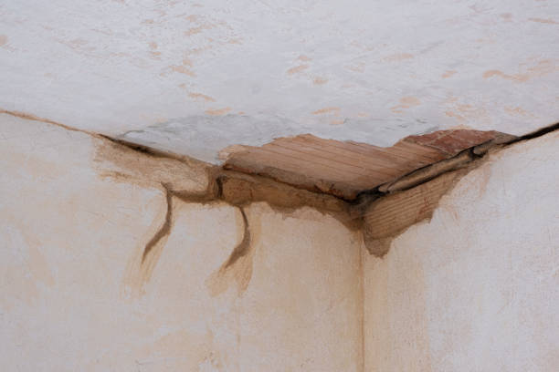 Water damage restoration process