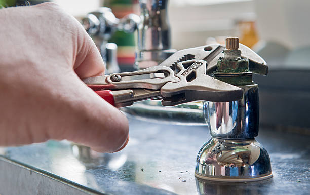 Best Flooded house restoration  in Elk Rapids, MI